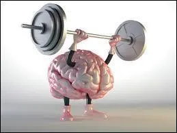 Quel est le poids d'un cerveau comportant 100 milliards de neurones ?