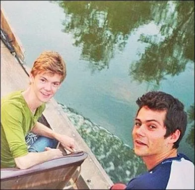 Comment les fans appellent-ils la relation de Newt et Thomas dans le labyrinthe ?