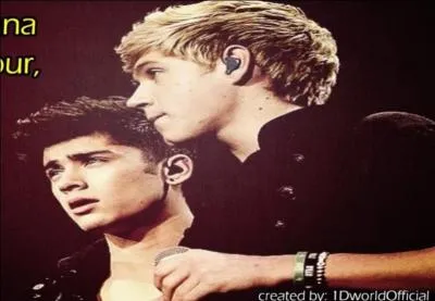 Quel membre du groupe est le seul Irlandais ?