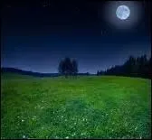 Lequel de ces animaux n'existe pas à l'état sauvage ?