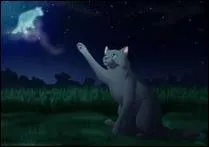 Qui &eacute;tait le compagnon d'Etoile bleue ?