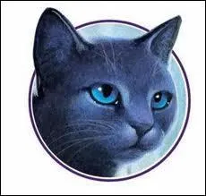 De quel clan fait partie Etoile bleue ?