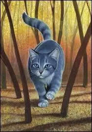 Comment se nomme les petits d'Etoile bleue ?