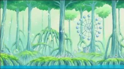 Combien y a-t-il de Supernovas ?