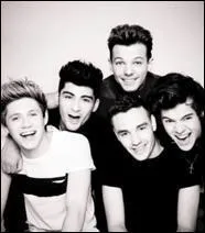 Comment appelle-t-on les fans de ce merveilleux boys band, les One Direction ?
