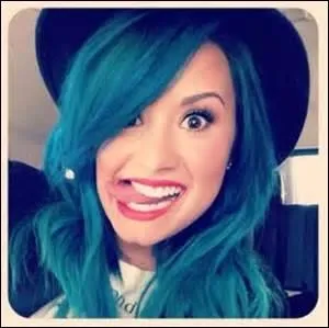 Comment appelle-t-on les fans de cette chanteuse rebelle : Demi Lovato ?