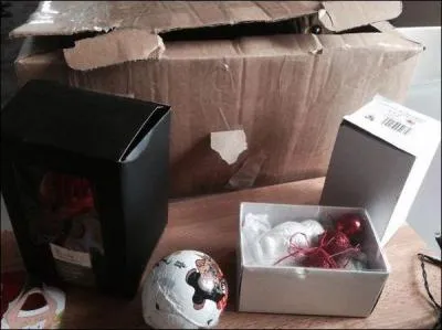 Si tu agrandis la photo, tu verras qu'il y a un chat !