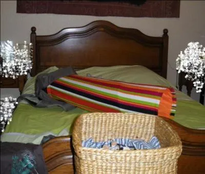 Il y a un chat sur cette photo !