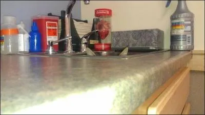 Si tu ne vois pas de chat sur cette photo, c'est normal, il n'y en a pas !