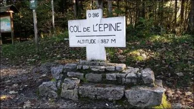 Si tu regardes vraiment bien, deux chats sont cachés sur cette photo !