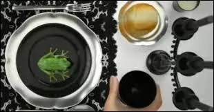 Dans quelle &eacute;mission des personnes se re&ccedil;oivent-elles les unes les autres et se font &agrave; manger ?