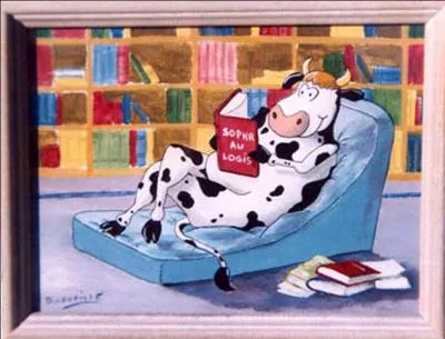 Quel est ce livre de Sofi Oksasen ?