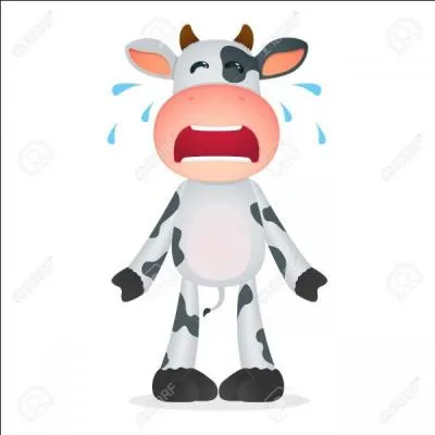 Si vous me mettez un vilain smiley, accompagné d'un flot de remarques désobligeantes, que vais-je penser ?