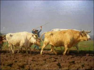 Je suis un tableau représentant des boeufs. Qui m'a réalisé ?