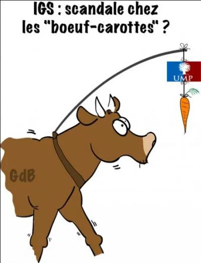 Que sont les boeufs-carottes ?