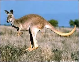 Quelle est la capitale de l'Australie ?