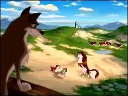 Combien Jenna et Balto eurent-ils de chiots ?