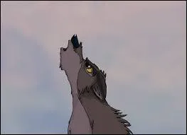 Qui a réalisé Balto ?