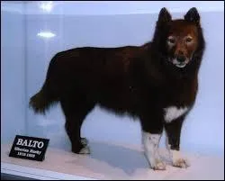 Quelle est la date à laquelle la ville de Nome a été atteinte d'une épidémie ( l'histoire vraie ) ?