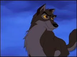 Par quel moyen sont transportés les sérums avant d'être embarqués par les chiens ?