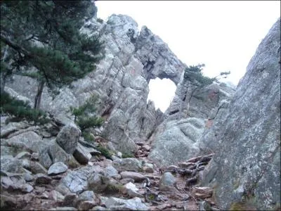 Quel est le nom de cette curiosité que vous aurez peut être l'occasion d'admirer lors d'un séjour en Corse ?