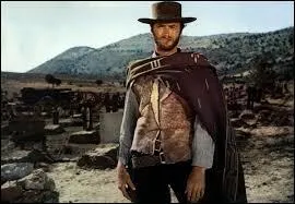 Quel groupe rend hommage au western "Le bon, la brute et le truand" avec sa chanson "Clint Eastwood" ?