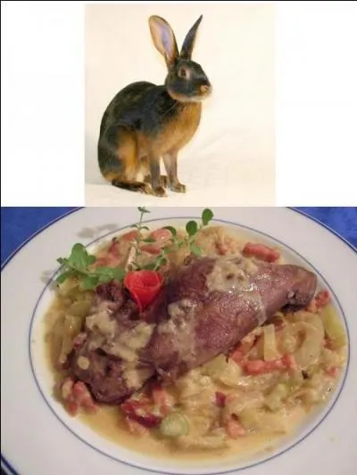 Avec ou sans lièvre ?