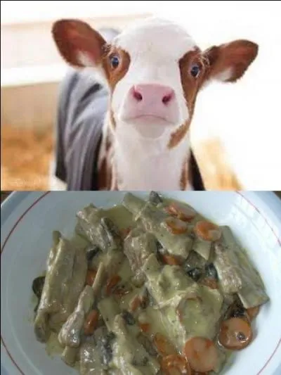 Avec ou sans veau ?