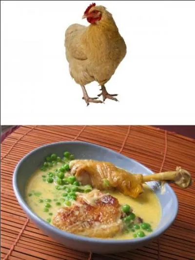 Avec ou sans poulet ?