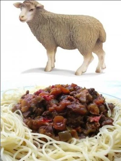 Avec ou sans mouton ?