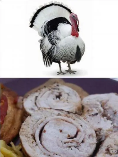 Avec ou sans dinde ?