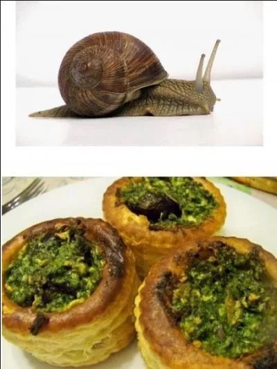 Avec ou sans escargots ?