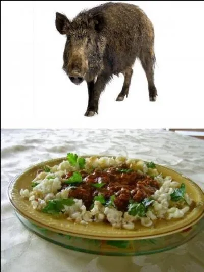 Avec ou sans sanglier ?