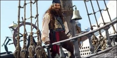 Quels volatiles accompagnent Steak Barbare ?