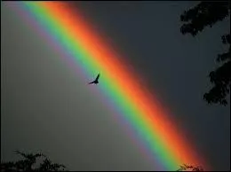Laquelle de ces couleurs ne fait pas partie de l'arc-en-ciel ?