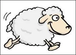 Qui ne touche pas à l'essentiel...