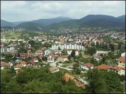 "Stop" est un village se trouvant dans la municipalité de Rogatica. Dans quel pays pouvez-vous voir ce paysage ?