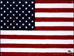 Stop the War Coalition est une association américaine.