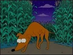 "Stop, or My Dog Will Shoot" est le vingtième épisode d'une série, mais laquelle ?