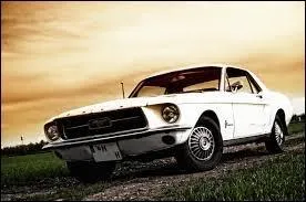 Quelle est cette voiture populaire américaine ?