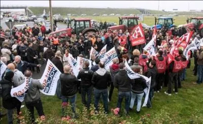 "Nous passons à l'instruction d'une pléthore de recrues, dont la rentabilité au combat demeure douteuse". Que représente le mot "pléthore" ?