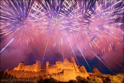 "Ce roi ne laissait aucun subterfuge de côté pour éviter le combat". Quelle est la signification de "subterfuge" ?