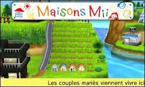 Que peut faire un mii dans sa maison ?