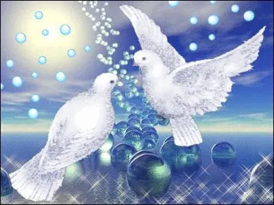 Comment s'appellent ces oiseaux ?