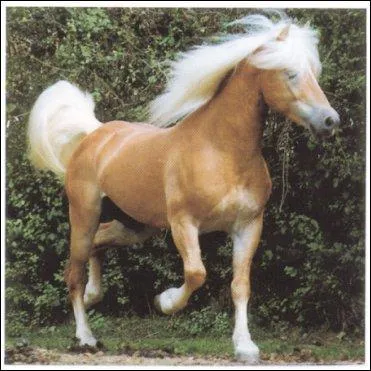 Et le sevrage (généralement) ?