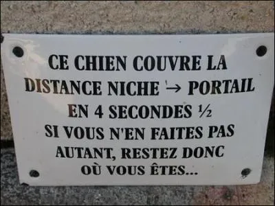 Mon cinquième, il lui est arrivé de faire le chien.