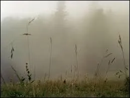 Le brouillard blanc est-il mortel au premier contact avec ce dernier ?