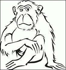 Pourquoi la femme du district six sauve-t-elle Peeta alors qu'il allait recevoir un coup fatal du singe ?