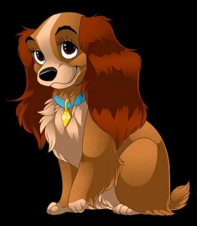 Dans "La Belle et le Clochard", comment Jim baptise-t-il sa jeune chienne cocker ?