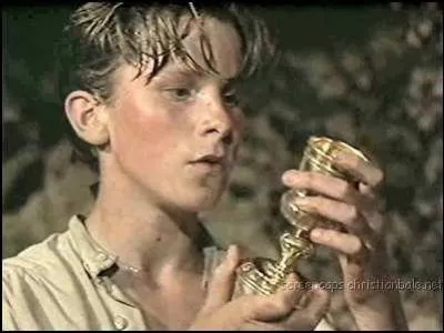 Dans "L'île au trésor", qui découvre un coffre avec une carte au trésor ?